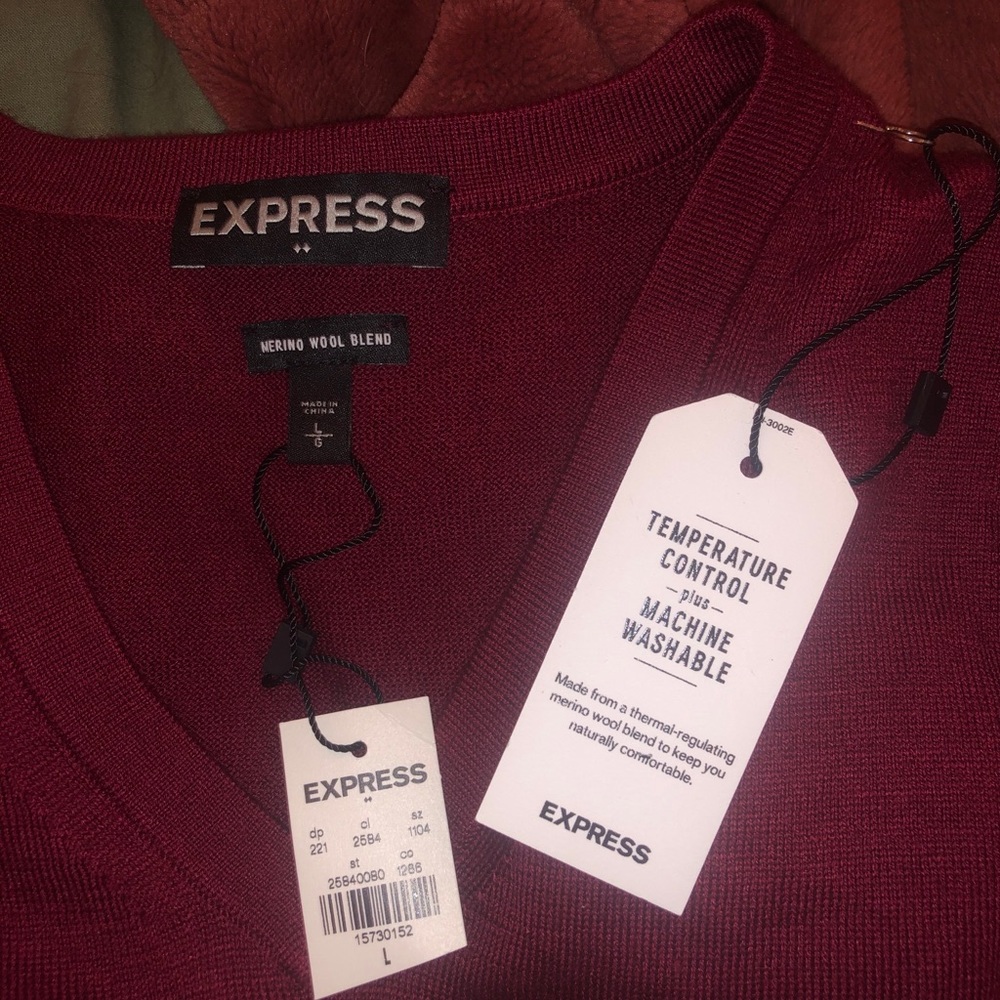 express vneck sweater